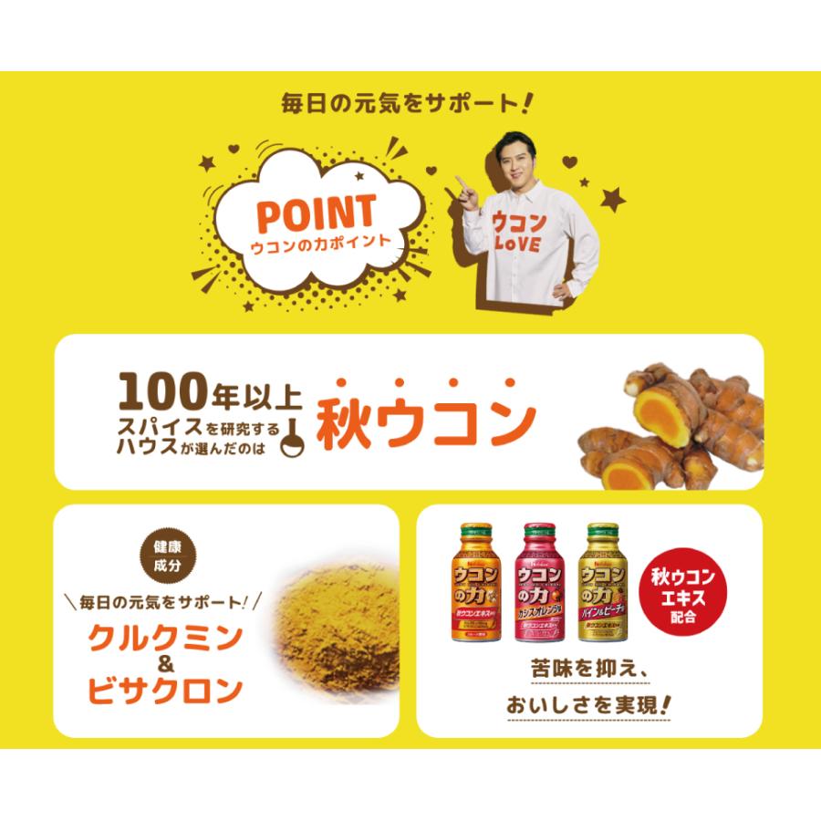ウコンの力 超MAX 120ml 6本 ハウスウェルネスフーズ ウコン ドリンク 送料無料 | ウコンの力 | 01