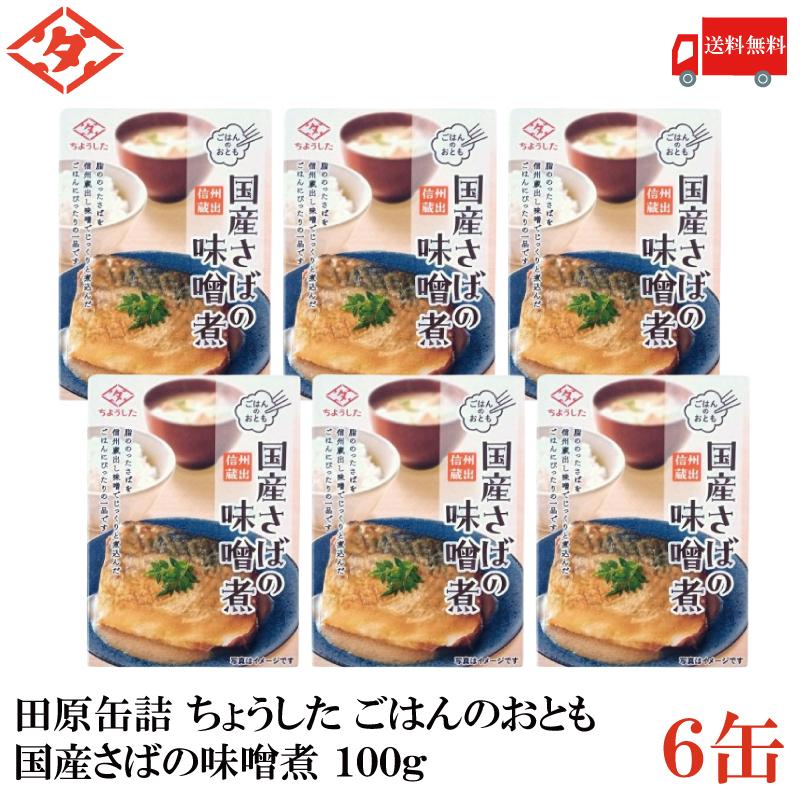 送料無料 田原缶詰 ちょうした ごはんのおとも 国産さばの味噌煮 100g×6缶 (信州蔵出し味噌) | 