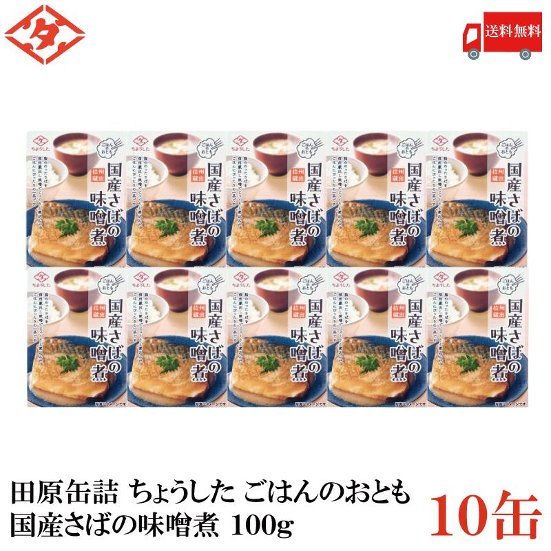 送料無料 田原缶詰 ちょうした ごはんのおとも 国産さばの味噌煮 100g×10缶 (信州蔵出し味噌) | 