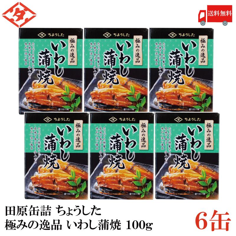 送料無料 ちょうした 極みの逸品 いわし蒲焼 100g×6缶【イージーオープン缶 田原缶詰】 | 