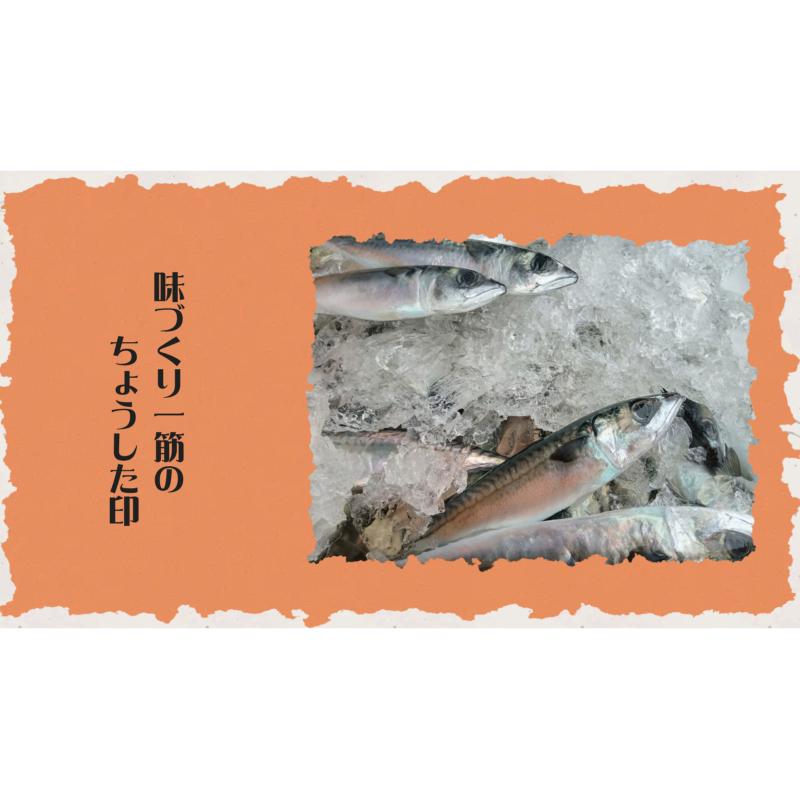 送料無料 ちょうした 極みの逸品 さんま蒲焼 100g×10缶【イージーオープン缶 田原缶詰】 |  | 02