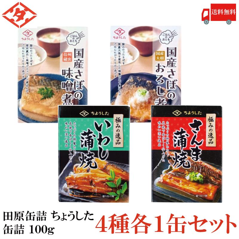 送料無料 田原缶詰 ちょうした 缶詰100g 4種 各1缶セット 計4缶【さばの味噌煮・鯖大根おろし・いわし蒲焼き・さんまの蒲焼き】 | 