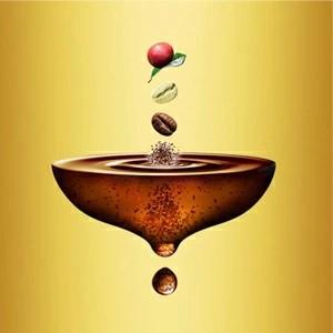 ネスレ ネスカフェ ゴールドブレンド カフェインハーフ スティック コーヒー ブラック （2g×20本）×1箱 | ネスカフェ ゴールドブレンド | 05