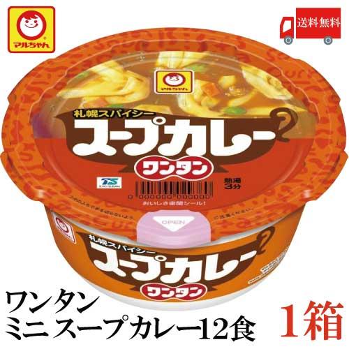 送料無料 マルちゃん スープカレー ワンタン 29g×24食【2箱】（わんたん 雲呑 インスタント） | マルちゃん