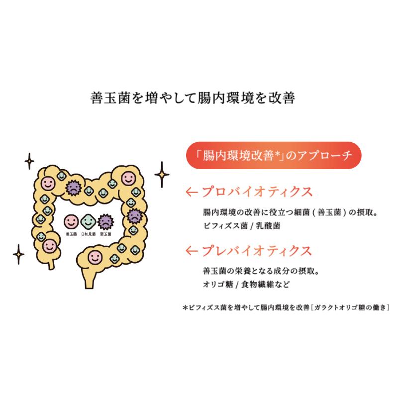 【機能性表示食品】キリン 午後の紅茶 アップルティープラス 430ml 1箱 (24本) (ビフィズス菌 ガラクトオリゴ糖配合) 送料無料 | 午後の紅茶 | 03