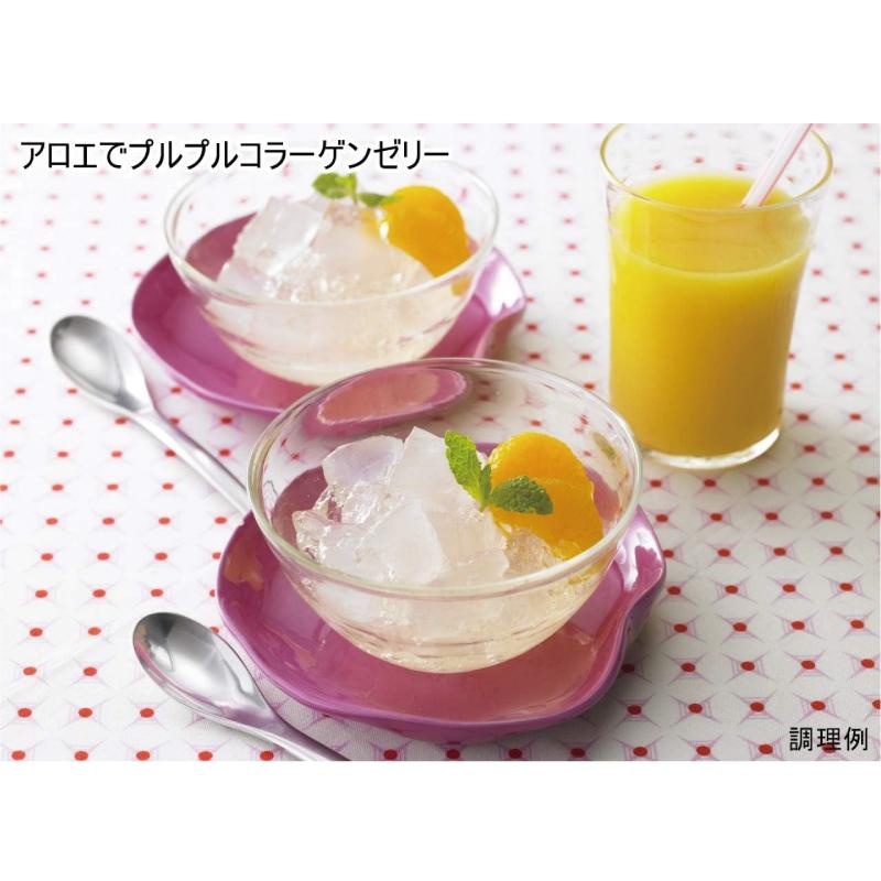 送料無料 はごろも 甘みあっさり アロエ ダイスカット パウチ 1.5kg ×1袋 | はごろもフーズ | 03