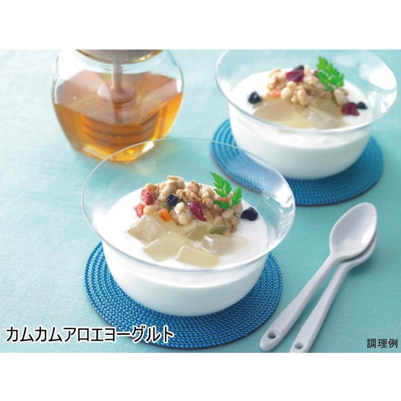 送料無料 はごろも 甘みあっさり アロエ ダイスカット パウチ 1.5kg ×3袋 | はごろもフーズ | 04