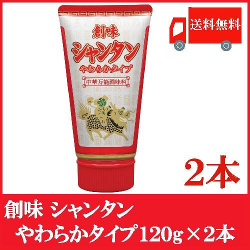 全国送料無料 創味 シャンタン やわらかタイプ 120g ×2本 ’（チューブタイプ） | 
