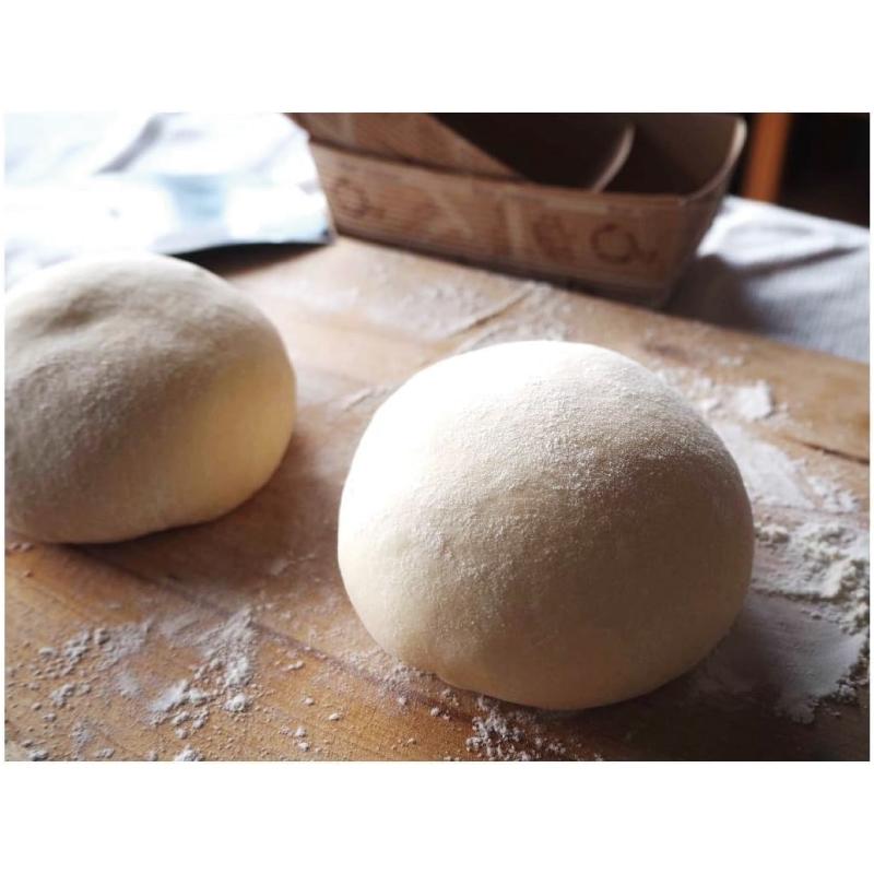 パイオニア企画 白神こだま 酵母 ドライ 200g 1袋 (製パン用酵母 天然酵母 ドライイースト) 送料無料 |  | 04