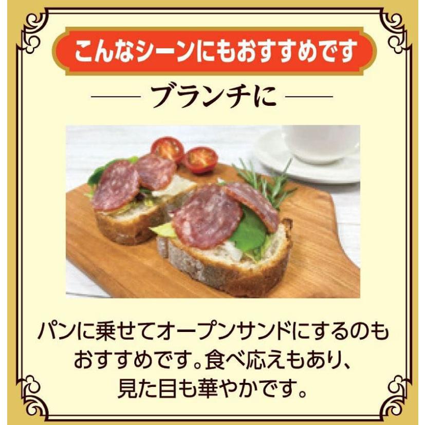 送料無料 なとり ゴールドパック 一度は食べていただきたい おいしいサラミ 46g(23g×2袋)×20袋 | なとり | 04