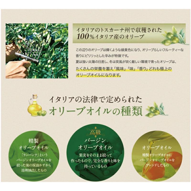 送料無料 マントヴァ 100％イタリアン エクストラバージン オリーブオイルスプレー 228g×1本 |  | 03