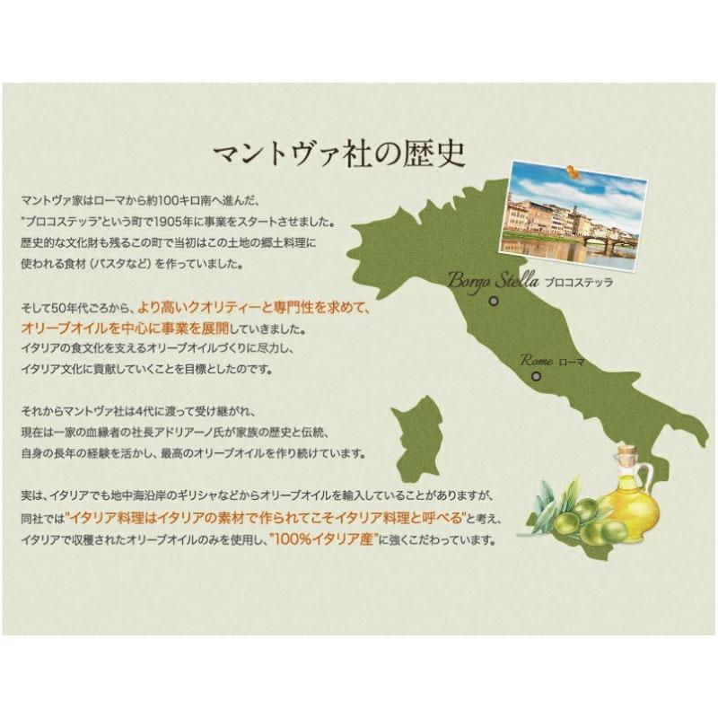送料無料 マントヴァ 100％イタリアン エクストラバージン オリーブオイルスプレー 228g×12本 |  | 06