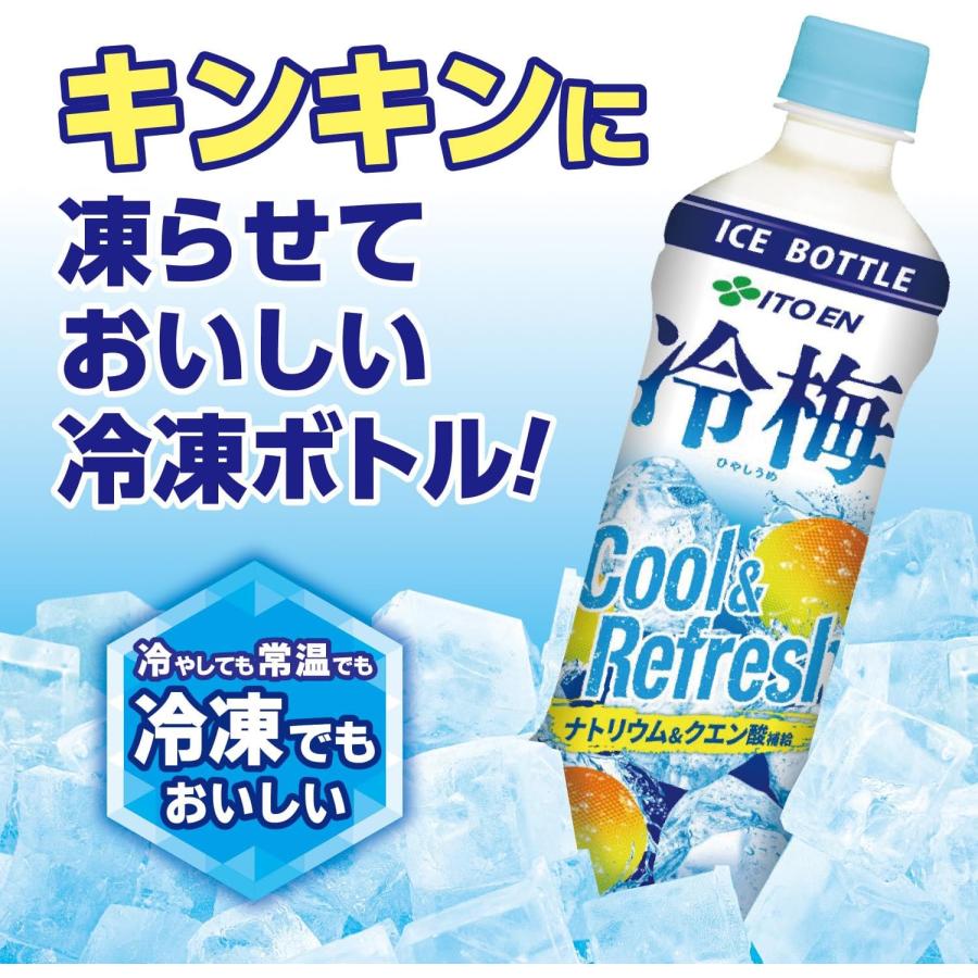 送料無料 伊藤園 冷梅 500g (冷凍兼用ボトル) ペットボトル×24本 | 伊藤園 | 02