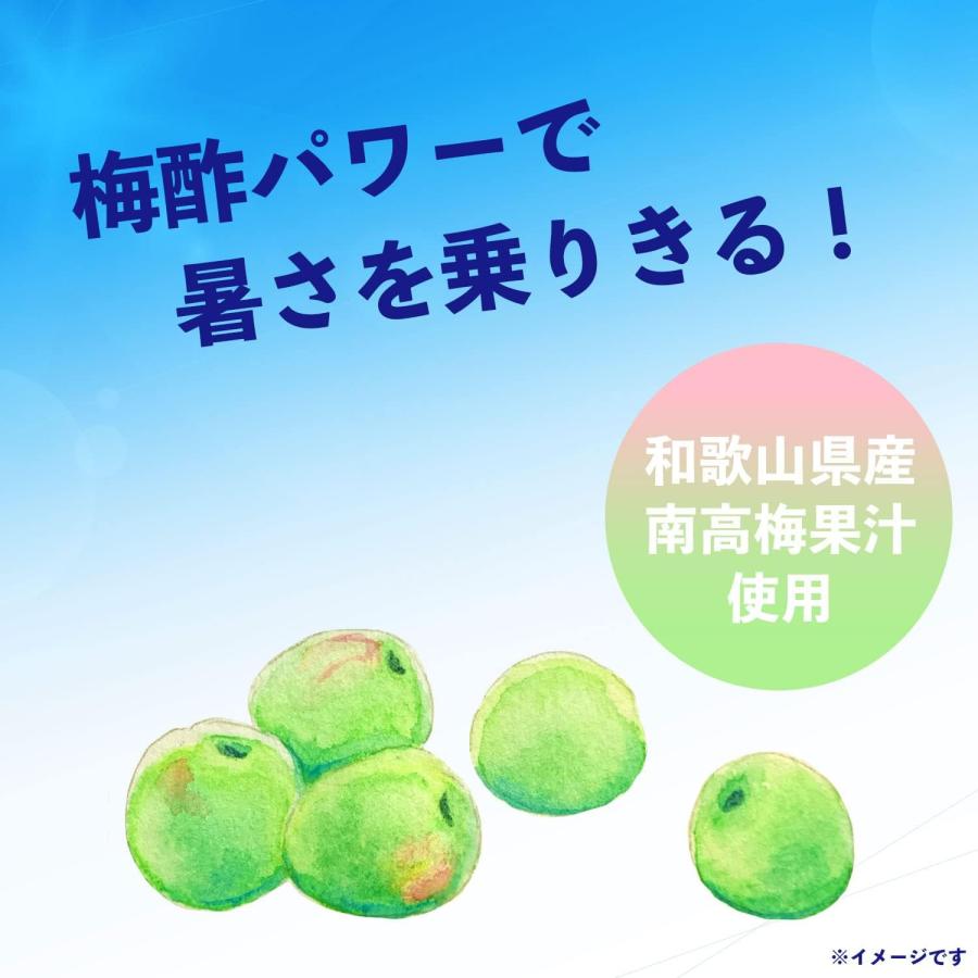 送料無料 伊藤園 冷梅 500g (冷凍兼用ボトル) ペットボトル×48本 | 伊藤園 | 03
