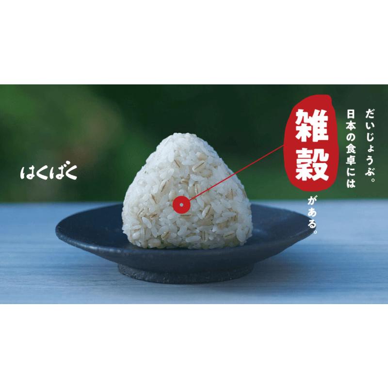 送料無料 はくばく 十五穀ごはん 業務用 1kg もち麦ブレンド×12袋 | はくばく | 04
