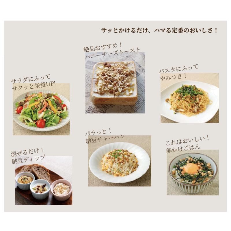 送料無料 フリーズドライ納豆 粒タイプ 30g ×10袋 乾燥納豆 納豆菌 そのまま食べる納豆 発酵食品 トッピング 菌活 腸活 旭松食品 | 旭松食品 | 04
