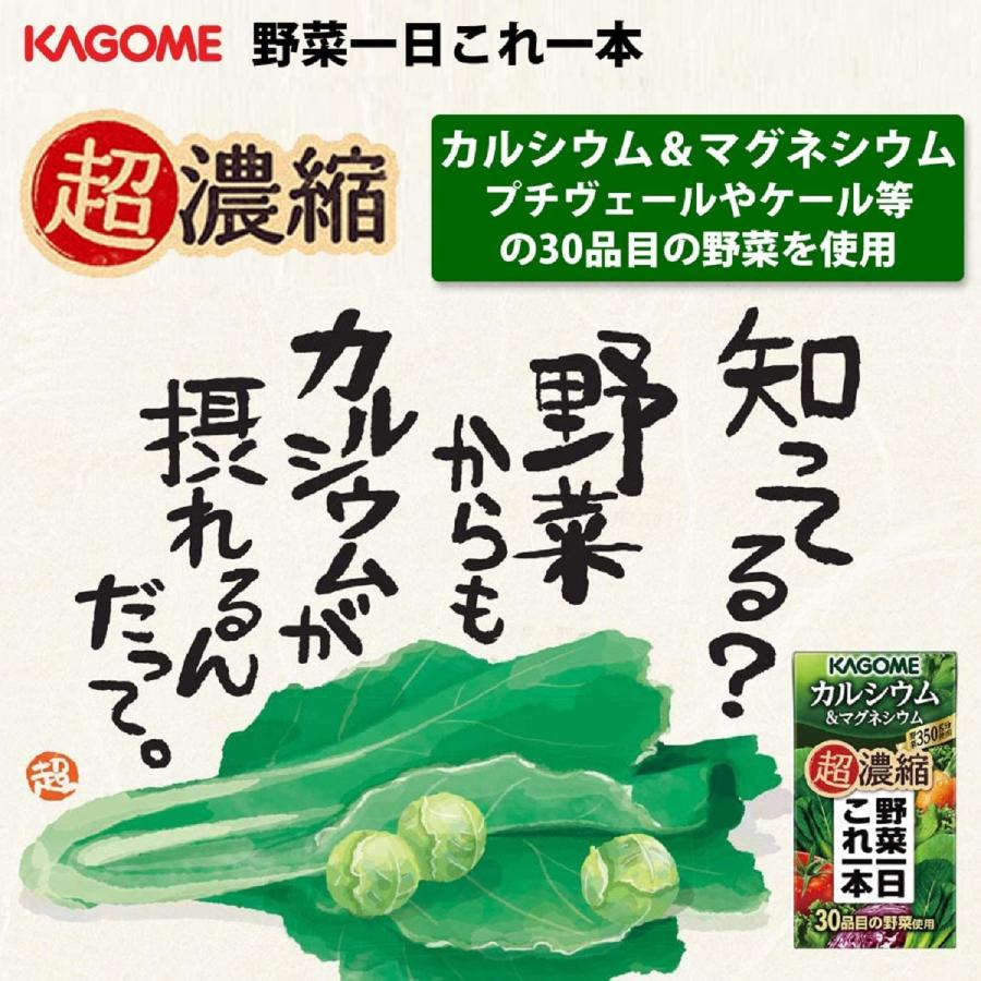 送料無料 カゴメ 野菜一日これ一本 超濃縮 カルシウム 125ml×96本 (&マグネシウム 野菜ジュース) | 野菜一日これ一本 | 09