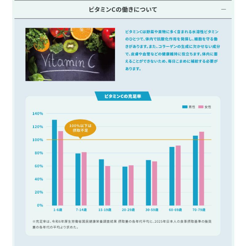 送料無料 クラシエ スカイウォーター レモン味 （1L用×10袋）×1箱【Sky water 鉄分補給 スポーツドリンクパウダー】 | スカイウォーター | 04