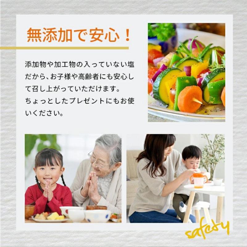送料無料 やがため 矢堅目の藻塩 100g ×2個 |  | 10