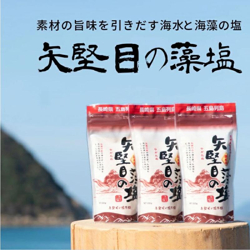 送料無料 やがため 矢堅目の藻塩 100g ×5個 |  | 02