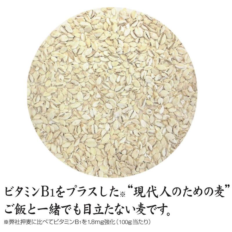 送料無料 はくばく ビタバァーレー 800g×1個（ビタヴァーレー ビタバアーレー） | はくばく | 05