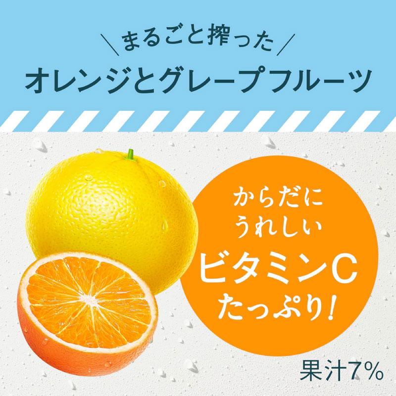 送料無料 キリン 午後の紅茶 FRUITS＆ICE TEA オレンジとグレープフルーツ 500ml PET×2箱【48本】(まとめ買い) | 午後の紅茶 | 05