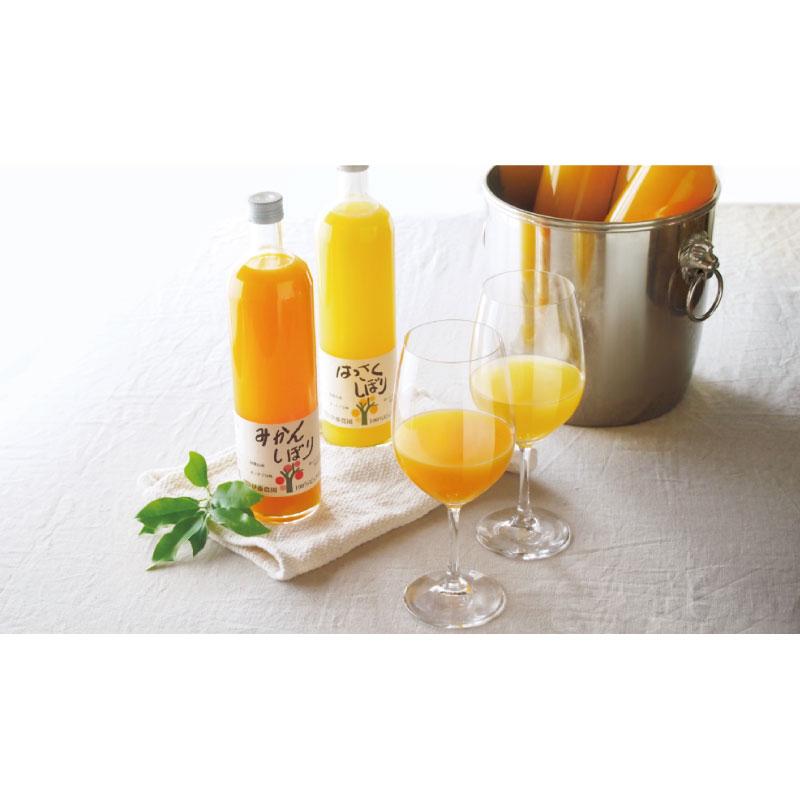 【出品中】送料無料 伊藤農園100%ピュアジュース みかんしぼり 750ml×1箱【9本】 まとめ買い | 伊藤農園 | 03