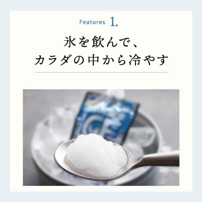 送料無料 赤穂化成 熱中対策水 アイススラリー サイダー風味 熱中症 120g×30本×3ケース (90本) まとめ買い | 赤穂化成 | 03
