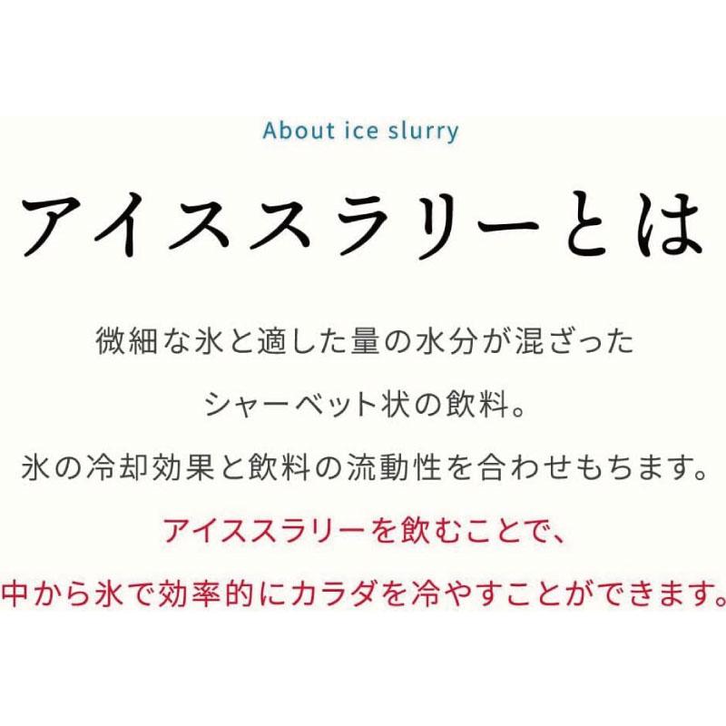 送料無料 赤穂化成 熱中対策水 アイススラリー ライチ風味 熱中症 90g×30本×4ケース (120本) まとめ買い | 赤穂化成 | 02