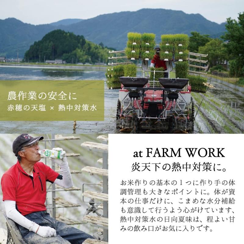 赤穂化成 熱中対策水 日向夏味 500ml ×48本 送料無料 | 赤穂化成 | 05