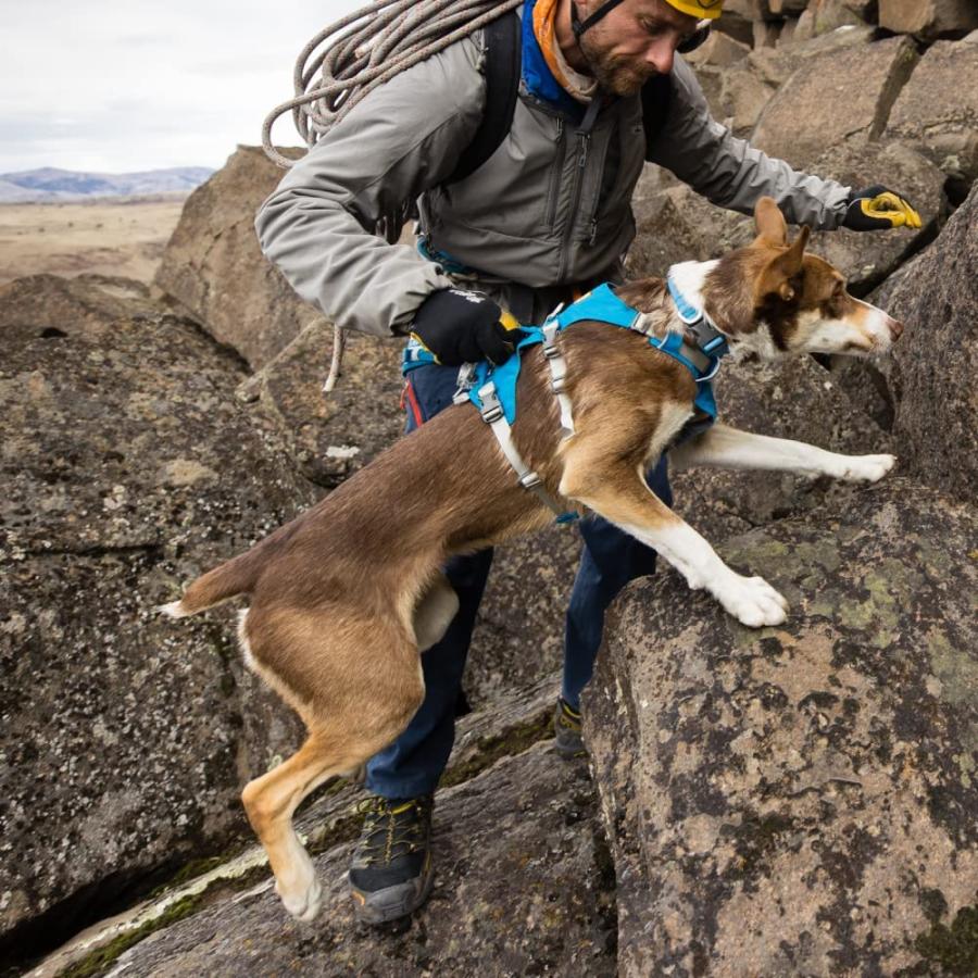 最も信頼できる Ruffwear ラフウェア フラッグラインハーネス S Sggn Www Regards Du Sauvage Com