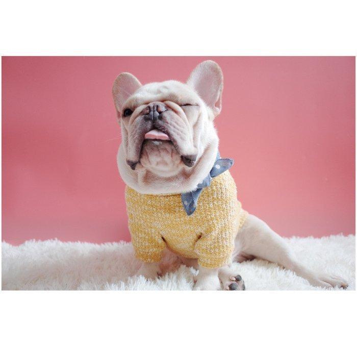 在庫一掃SALE】犬服 あったか セーター ポケットつき タートルネック