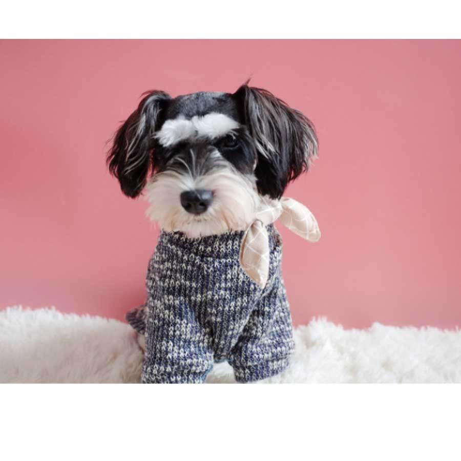 在庫一掃SALE】犬服 あったか セーター ポケットつき タートルネック