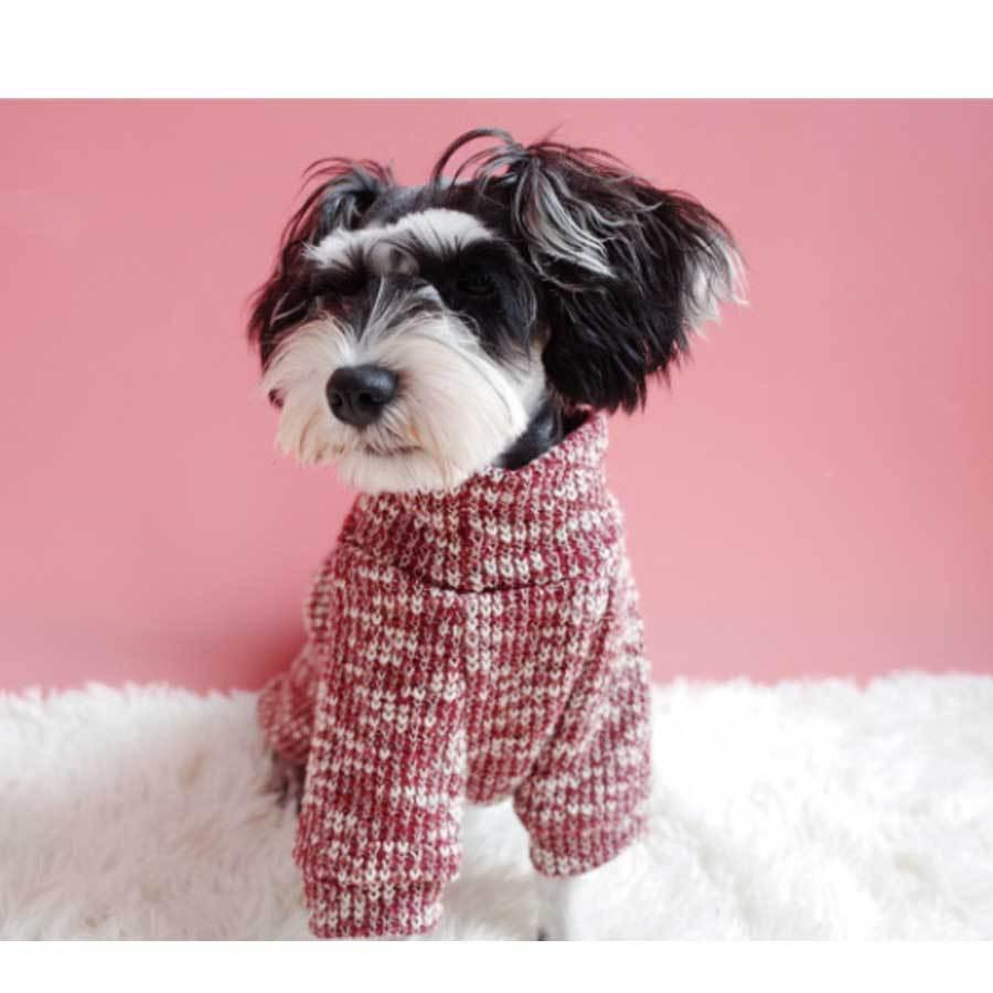 在庫一掃SALE】犬服 あったか セーター ポケットつき タートルネック