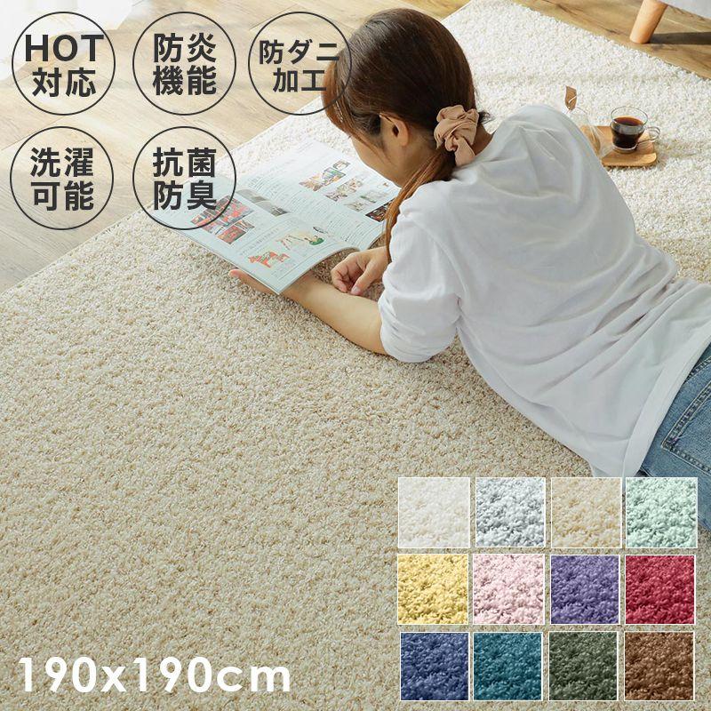 ラグ 2畳 カーペット 冬 シャギー 日本製 冬用 防ダニ 洗える 洗濯機