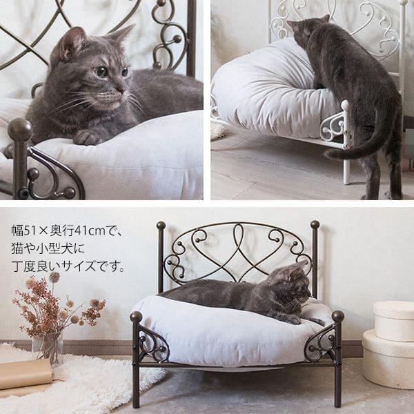 ペットベッド ベッド 猫 犬 ペット 白 夏 冬 通年 おしゃれ ペット用 小型犬 猫ベッド 小さめ フレーム 脚付き 犬ベッド 丈夫 オールシーズン 高級 ソファ｜quoli｜03