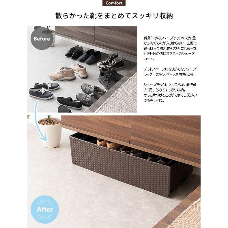 靴収納 下収納 スリム 2段 収納 コンパクト 省スペース 薄型 玄関 斜め