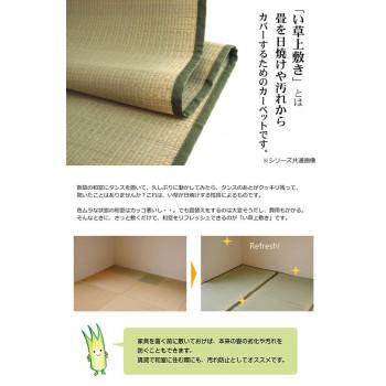 純国産 い草 上敷き カーペット 双目織 『草津』 本間2畳(約191×191cm) 1110682_1