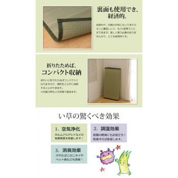 純国産 い草 上敷き カーペット 双目織 『草津』 本間2畳(約191×191cm) 1110682_4