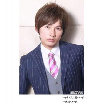 プリシラ MANオールウィッグ ミディショート MA-102 耐熱 SB