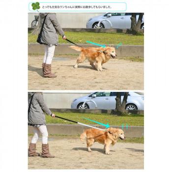 ファープラスト エルゴコンフォート エラスティック G25/120 犬用リード グレー 75520917の画像