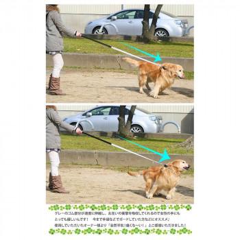 ファープラスト エルゴコンフォート エラスティック G25/120 犬用リード グレー 75520917の画像