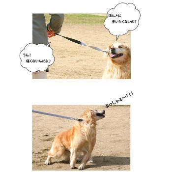 ファープラスト エルゴコンフォート エラスティック G25/120 犬用リード グレー 75520917の画像