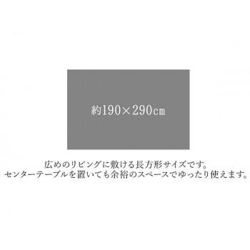 ループパイルラグ グレー 約4畳 約190×290cm ホットカーペット対応 1280700131403