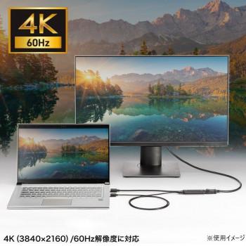 サンワサプライ HDMI-DisplayPort変換アダプタ(4K/60Hz) AD-HD31DPの画像