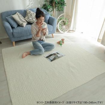 グラムスタイル イブルロアン ライトベージュ 綿100％ 190x240cm 「GSCD206616」_4