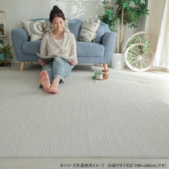 グラムスタイル イブルロアン グレージュ 綿100％ 190x240cm 「GSCD206622」_4