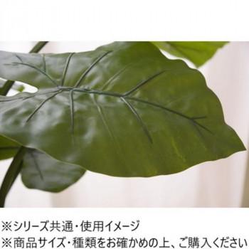 東谷 フェイクグリーン クワズイモ グリーン GRN-16の画像