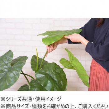 東谷 フェイクグリーン クワズイモ グリーン GRN-16の画像