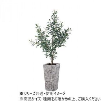 東谷 グリーンベース グレー GRNB-206の画像
